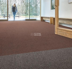 Forbo Coral в плитке 4726 Auburn фото 2 | FLOORDEALER